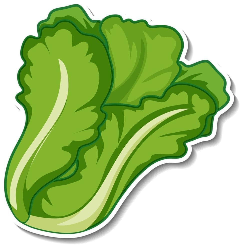 Fresh Deli Salad