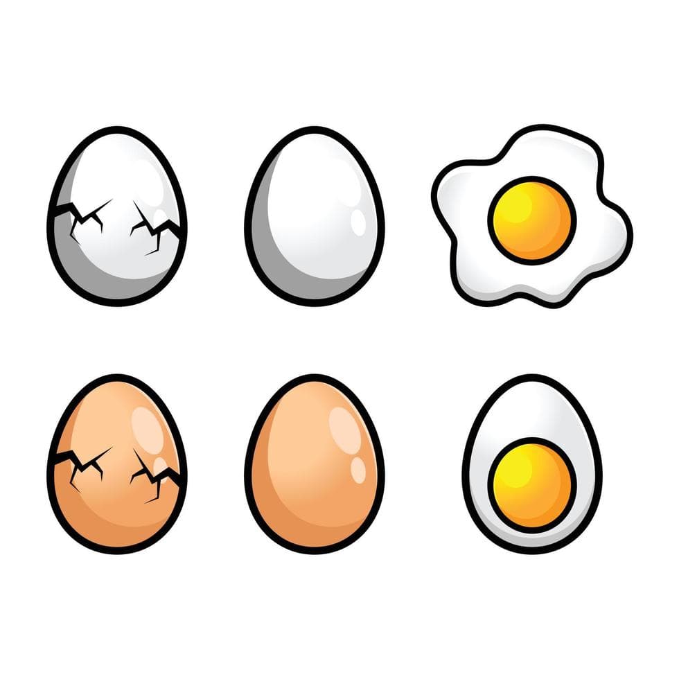 Eggs (Medium 12)